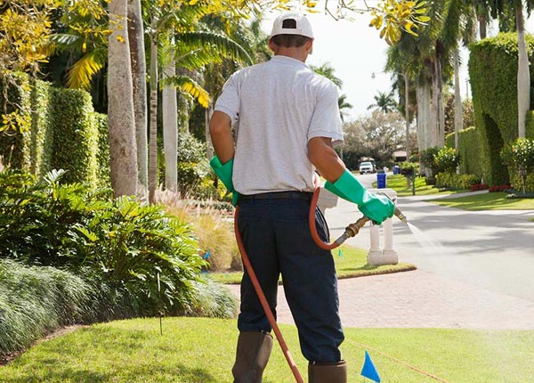 About Grand Junction TN Pest Control Pros